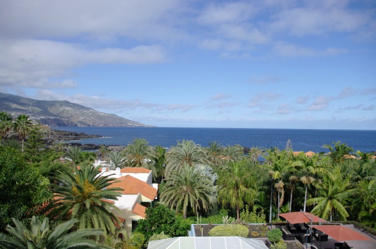 La Palma, the Canary Island with a unique link to Venezuela Saltwater